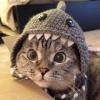 Attached Image