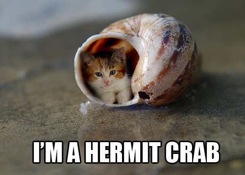 Attached Image