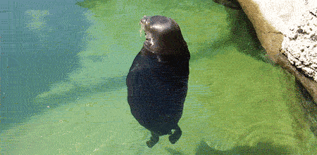 Attached Image