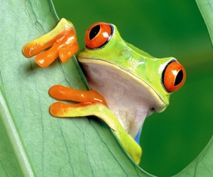 Attached Image