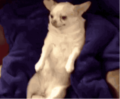 Attached Image