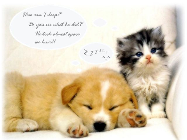 Attached Image