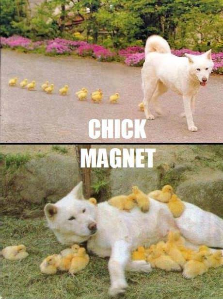 Attached Image