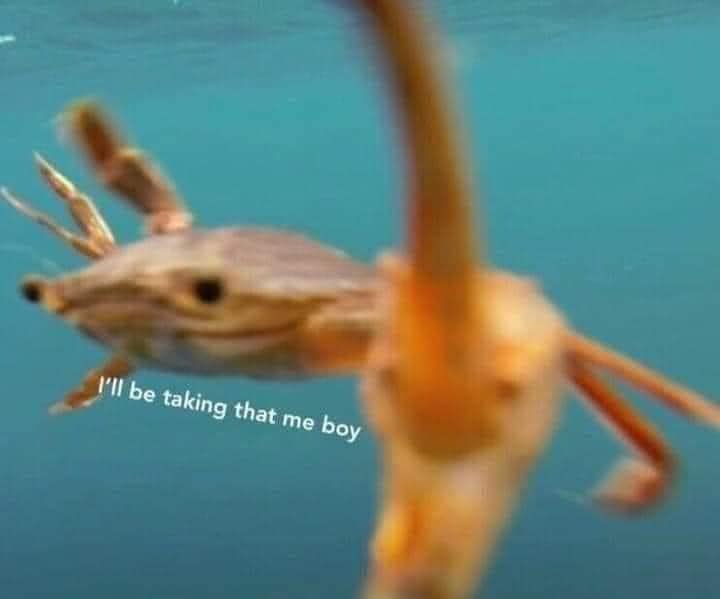 Attached Image