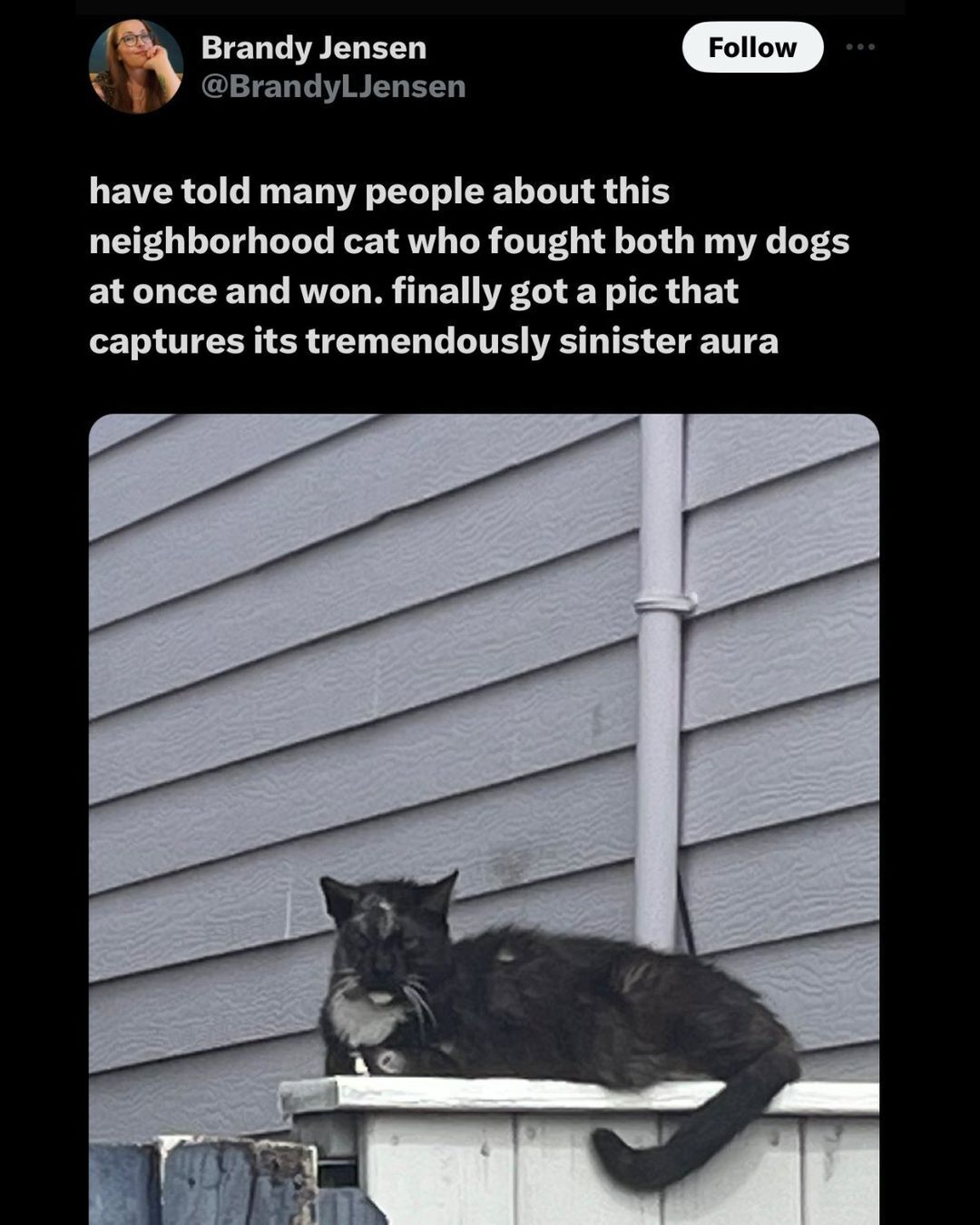 Attached Image