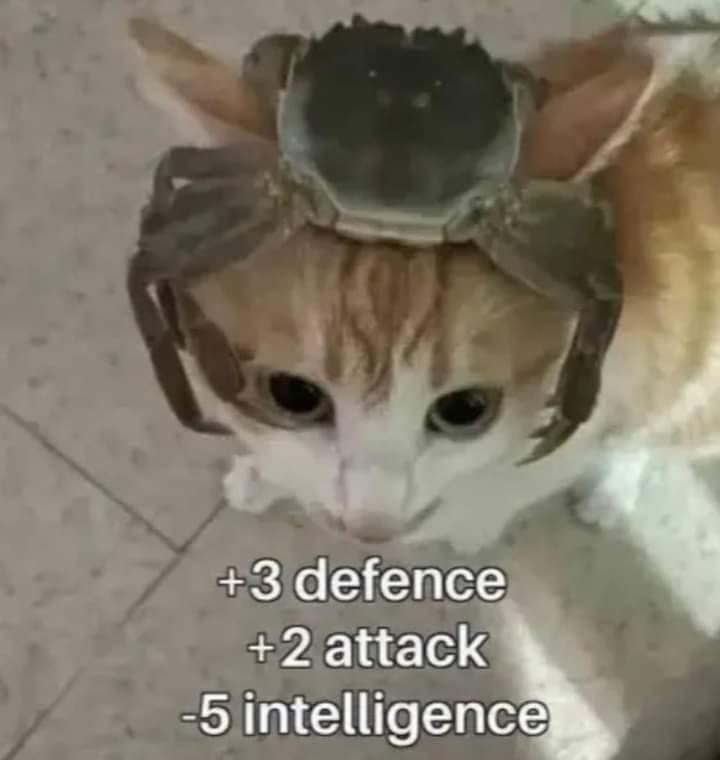 Attached Image