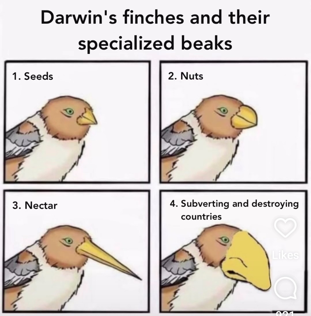 Attached Image