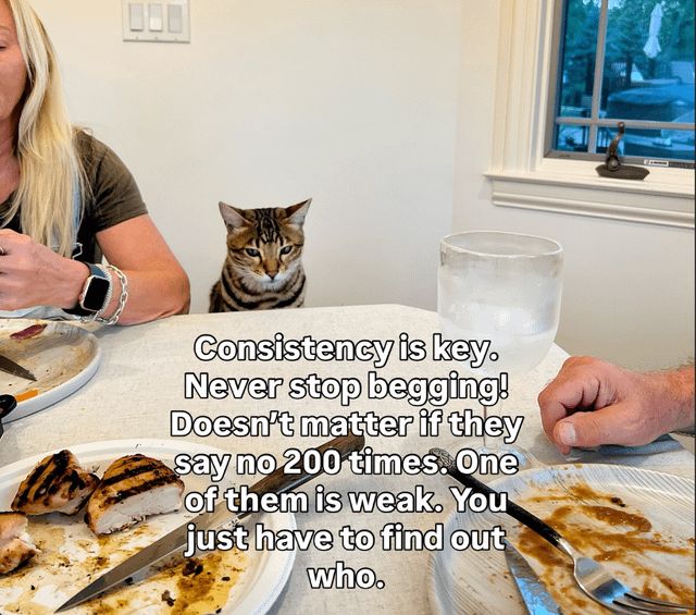 Attached Image