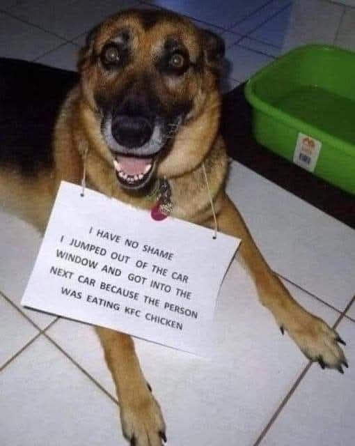 Attached Image
