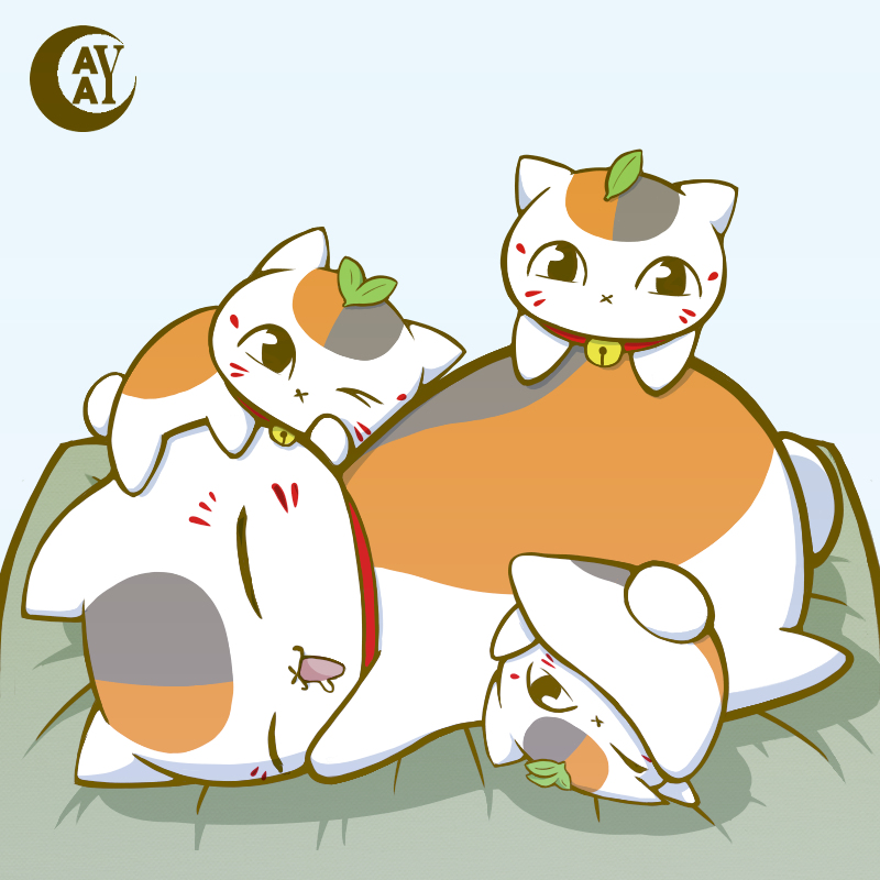 Attached Image