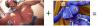 Attached Image