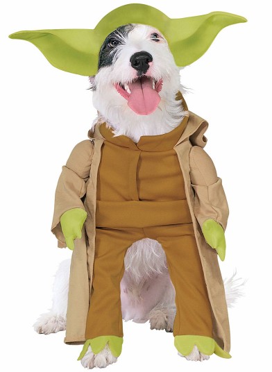 Attached Image
