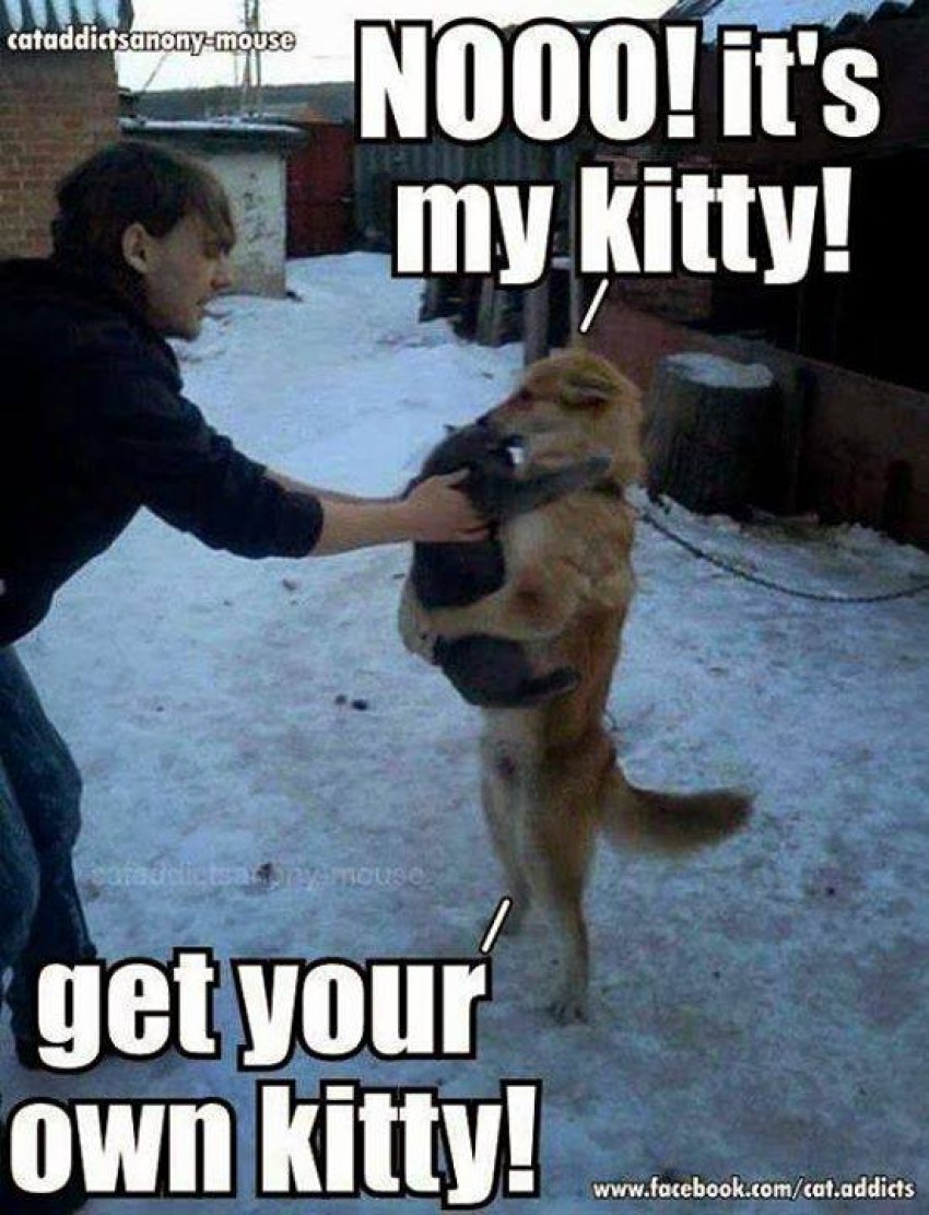 Attached Image