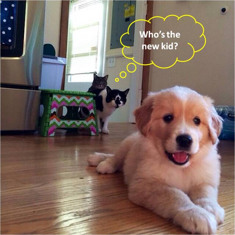 Attached Image