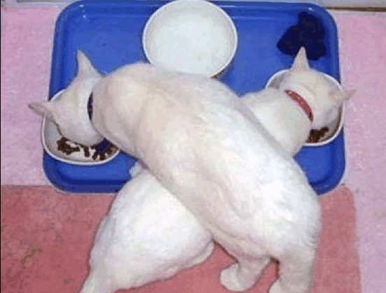Attached Image