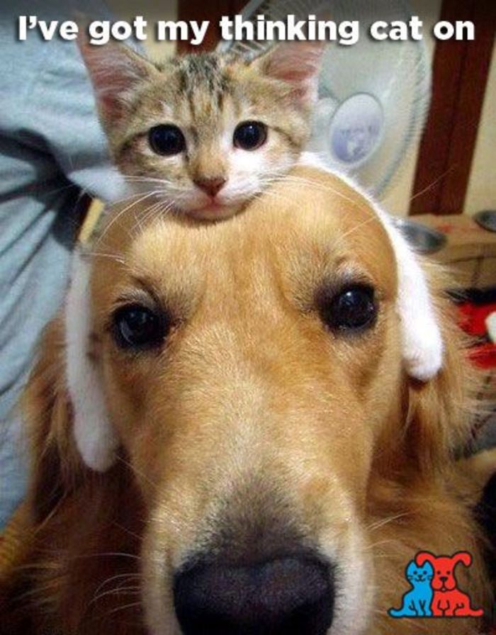 Attached Image