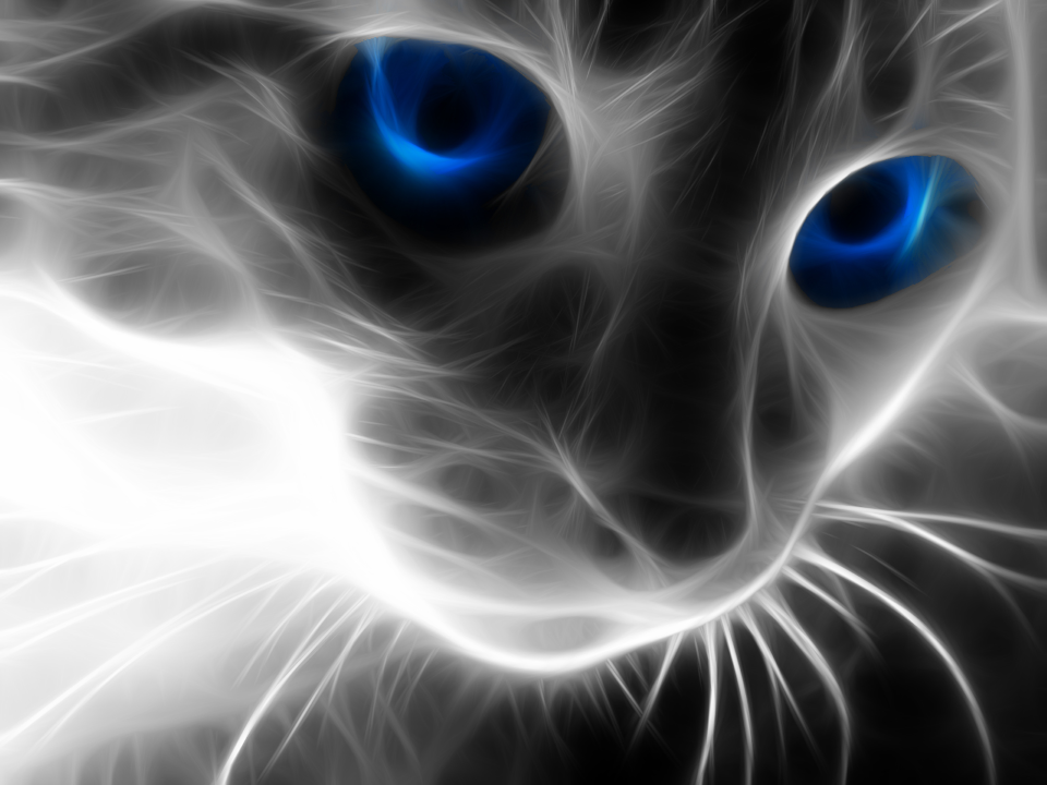 Attached Image