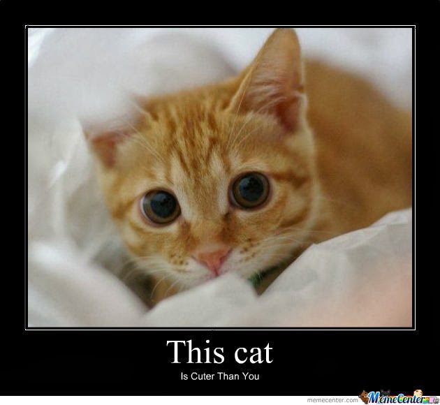 Attached Image