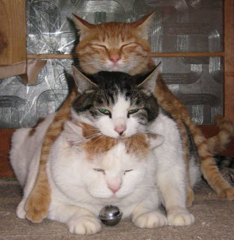 Attached Image
