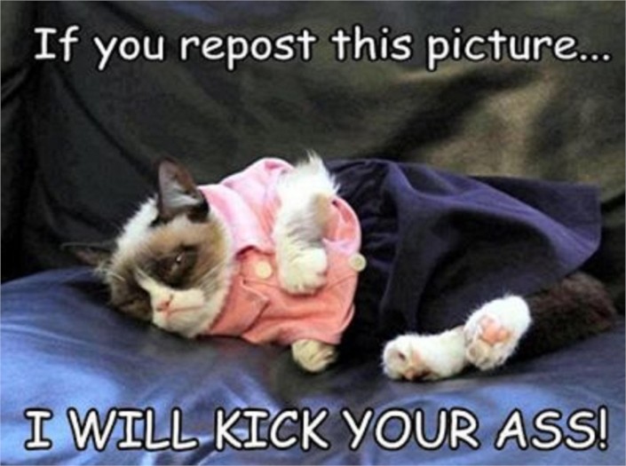 Attached Image