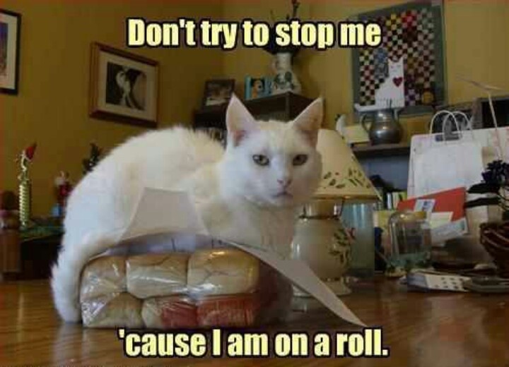 Attached Image