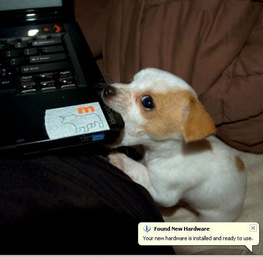 Attached Image