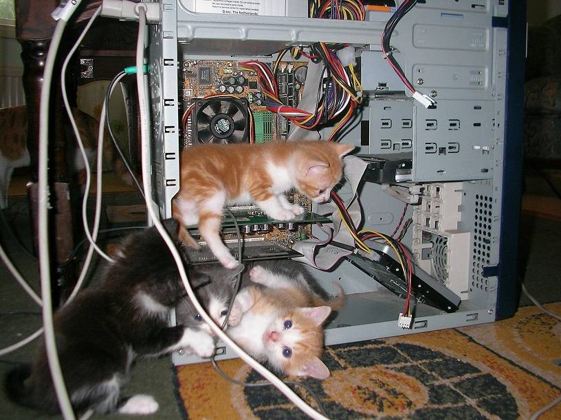 Attached Image