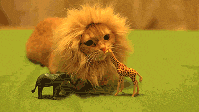 Attached Image