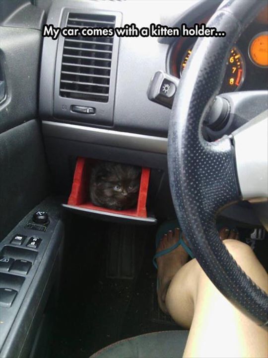 Attached Image