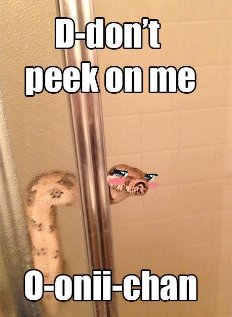 Attached Image