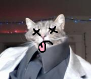 Attached Image