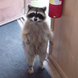 Attached Image