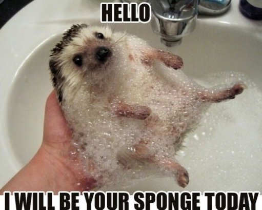 Attached Image