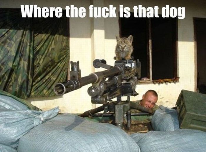 Attached Image