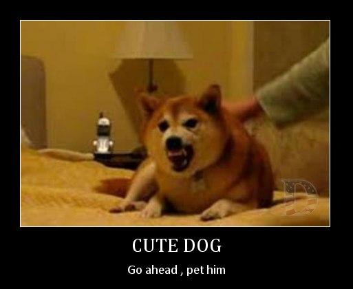 Attached Image