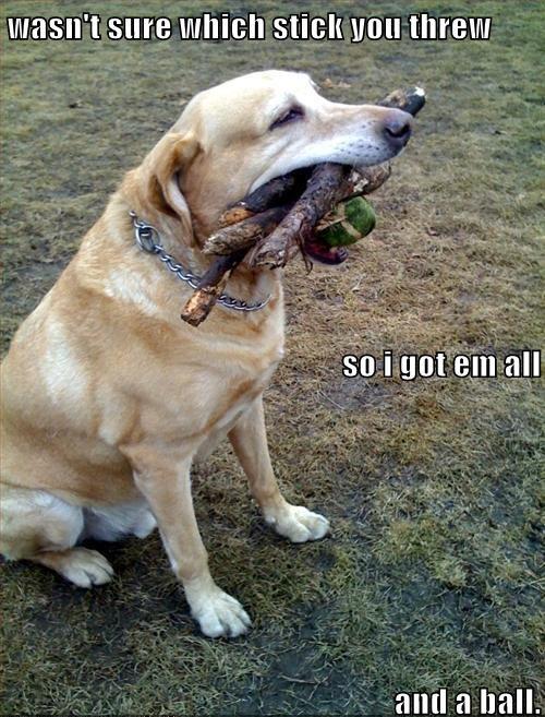 Attached Image
