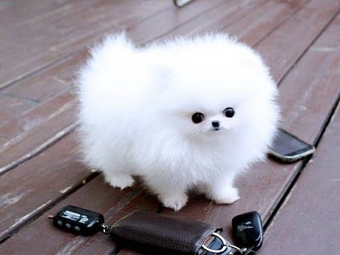 Attached Image