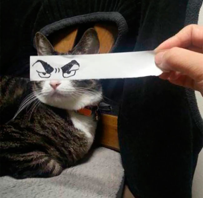 Attached Image