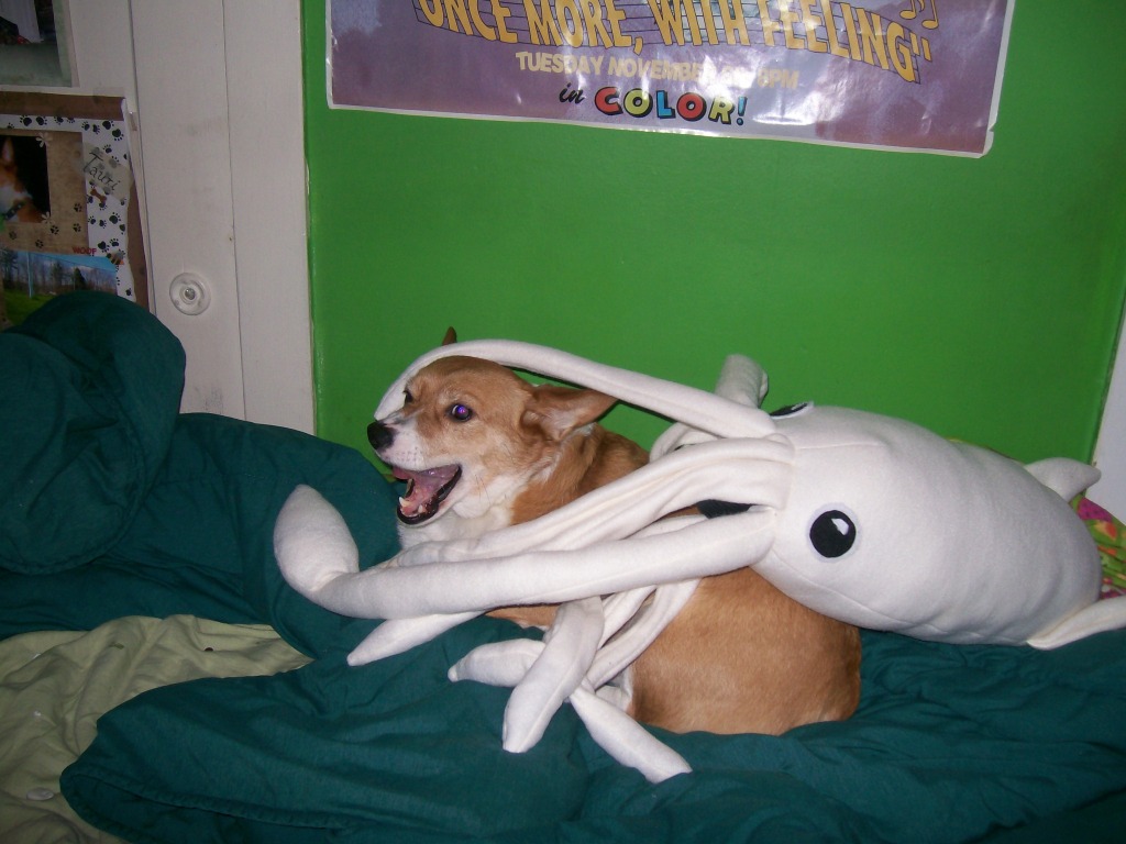 Attached Image