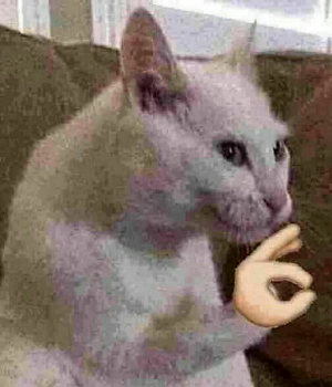 Attached Image