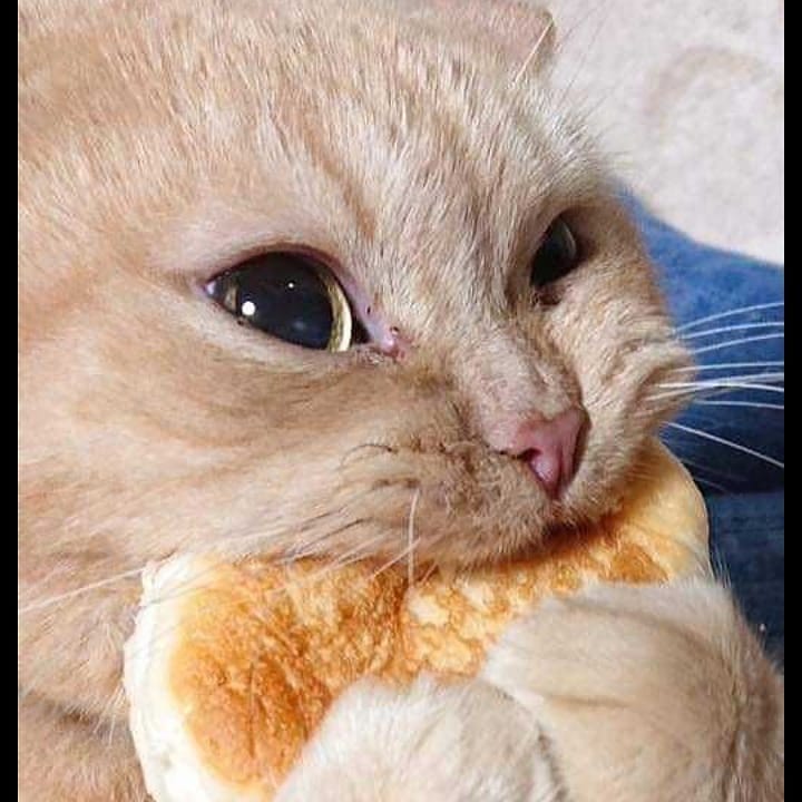 Attached Image