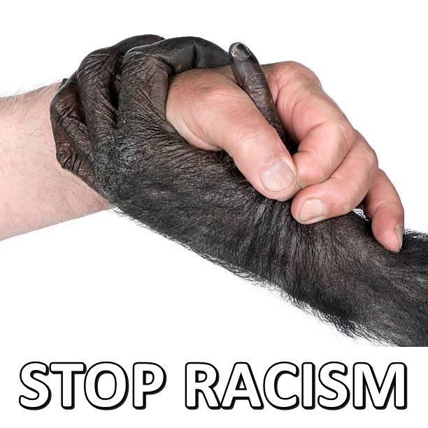 Attached Image